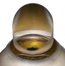 ANALYTICAL INSTRUMENTS