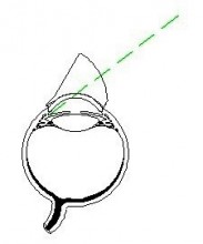 ANALYTICAL INSTRUMENTS
